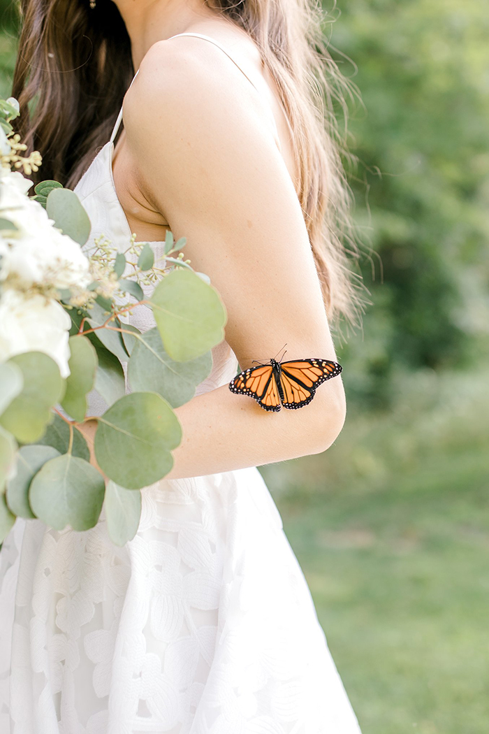 Couple's Wedding Photoshoot Gets A Fairytale-Like Twist After A Monarch Butterfly Joins In Couple's Wedding Photoshoot Gets A Fairytale-Like Twist After A Monarch Butterfly Joins In