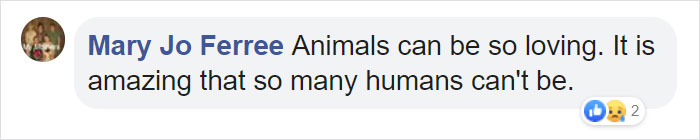 Mum Gorilla Who Lost Her Firstborn 1 Year Ago Gets Captured Cradling Her Month-Old Baby Mum Gorilla Who Lost Her Firstborn 1 Year Ago Gets Captured Cradling Her Month-Old Baby