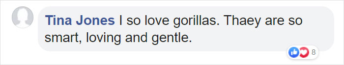 Mum Gorilla Who Lost Her Firstborn 1 Year Ago Gets Captured Cradling Her Month-Old Baby Mum Gorilla Who Lost Her Firstborn 1 Year Ago Gets Captured Cradling Her Month-Old Baby