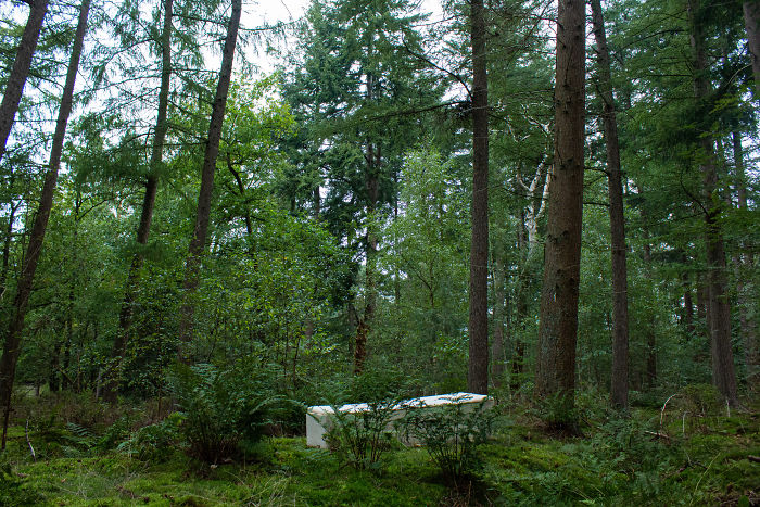 This Guy Created A $1,750 Mushroom Coffin That Turns Your Body Into Compost In Less Than 3 Years
