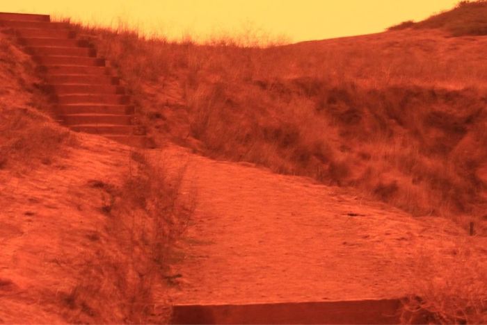 Drone Footage Of San Francisco Engulfed In Wildfire Set To The 'Blade Runner 2049' Soundtrack Goes Viral