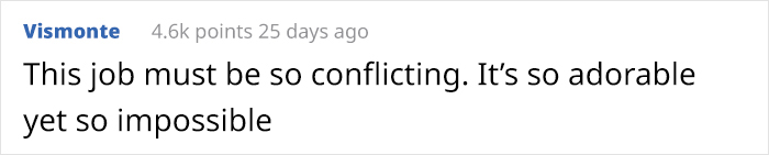 This Zookeeper Is Trying To Rake Leaves, But 2 Panda Cubs Have Other Ideas