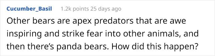 This Zookeeper Is Trying To Rake Leaves, But 2 Panda Cubs Have Other Ideas