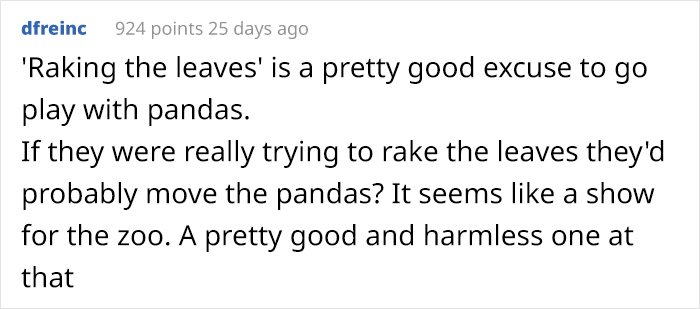 This Zookeeper Is Trying To Rake Leaves, But 2 Panda Cubs Have Other Ideas