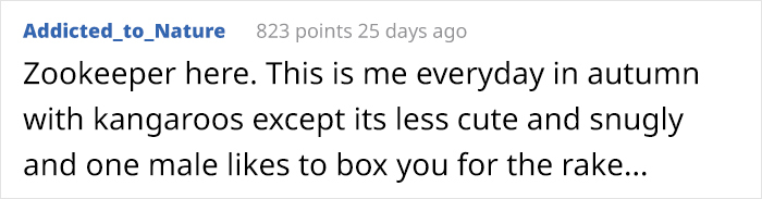 This Zookeeper Is Trying To Rake Leaves, But 2 Panda Cubs Have Other Ideas This Zookeeper Is Trying To Rake Leaves, But 2 Panda Cubs Have Other Ideas