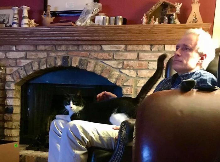 My House, My Husband, Not My Cat. She Used To Visit Our (Now Deceased) Kitty Vito. We Joked That She Was His Girlfriend, But Then They Started Fighting, So She Clearly Was His Wife. We Call Her Carmela. (Fans Of The Godfather Will Get This.) With Vito Gone, She Is Expanding Her Territory.