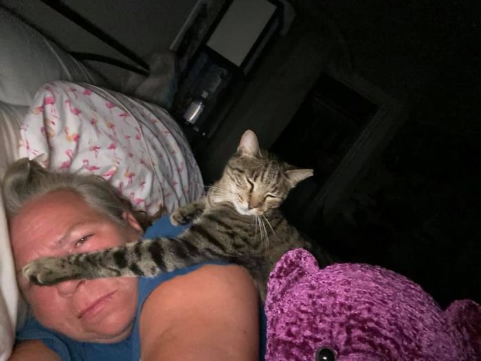 My House, My Bed, Not My Cat