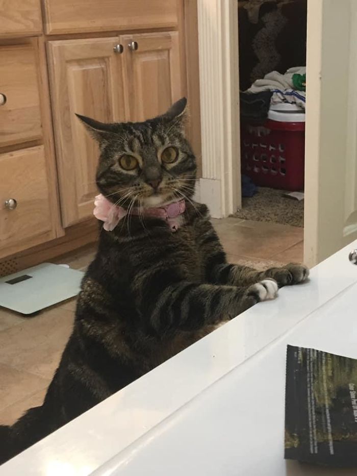 She Is Ours Now, But Originally She Wasn’t