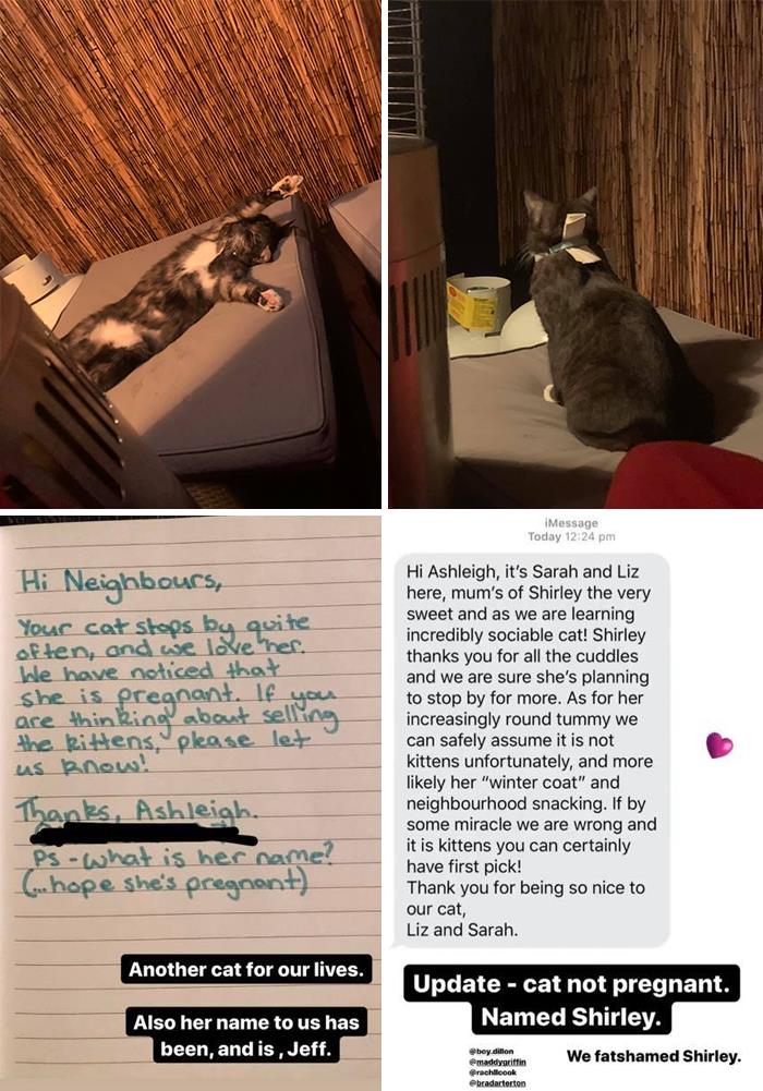 My House, Not My Cat - We Sent A Note Home With This Friendly Kitty “Jeff” Who Always Hangs Out With Us. Also Her Name Is Not Jeff, It Is Shirley