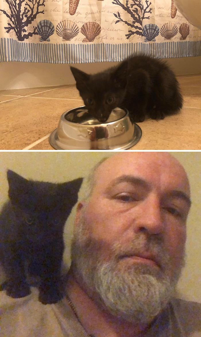 Definitely My House....not My Cat But So Far You Couldn't Tell Him That