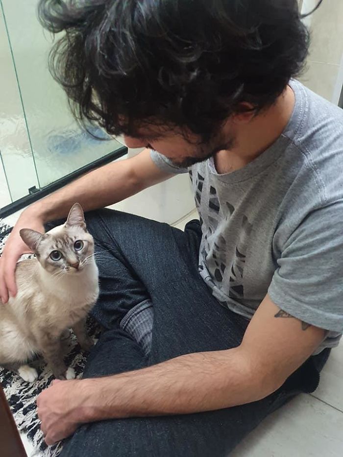 My House, My Boyfriend, Not My Cat!