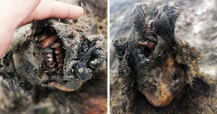 Perfectly Preserved Remains Of A 40,000-Year-Old Ice Age Cave Bear Were Just Discovered In Siberia