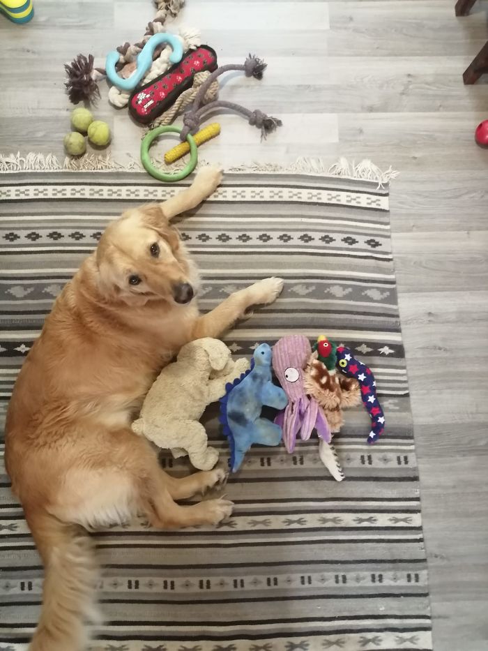 People Show What Items They Value The Most, Pose With Them As If They Were Buried As Per Old Burial Traditions People Show What Items They Value The Most, Pose With Them As If They Were Buried As Per Old Burial Traditions