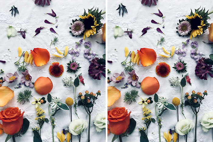 Can You Find The Differences In These 30 Images I Made?