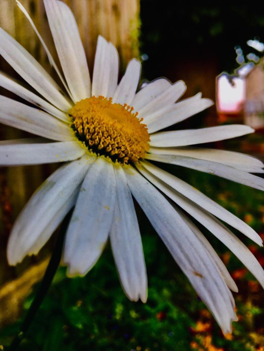 12 Yr Old Daughter Has Found Her Passion With An Old iPhone, I Am So Proud.