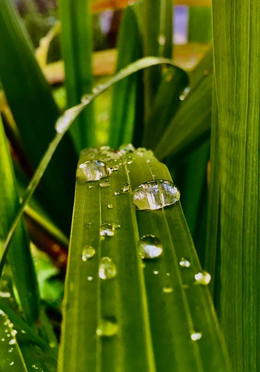 12 Yr Old Daughter Has Found Her Passion With An Old iPhone, I Am So Proud.