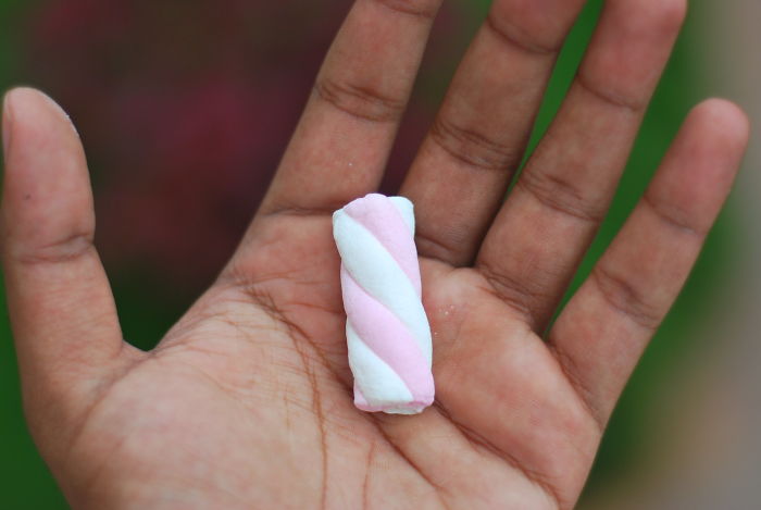 Person Asks Others "What Is The Most 'Why The Hell Do You Know That' Fact," Receives 30 Random Answers