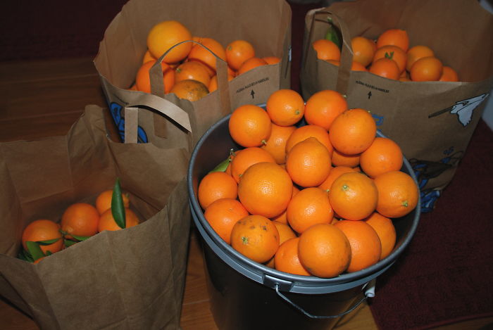 Person Asks Others "What Is The Most 'Why The Hell Do You Know That' Fact," Receives 30 Random Answers