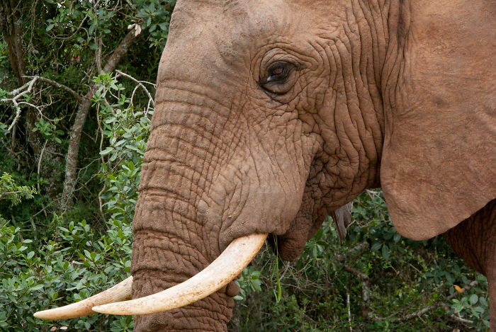 Person Asks Others "What Is The Most 'Why The Hell Do You Know That' Fact," Receives 30 Random Answers