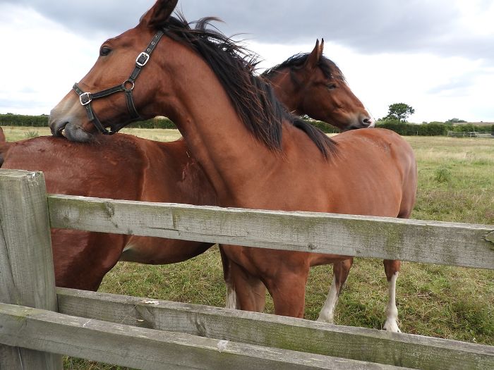 Person Asks Others "What Is The Most 'Why The Hell Do You Know That' Fact," Receives 30 Random Answers