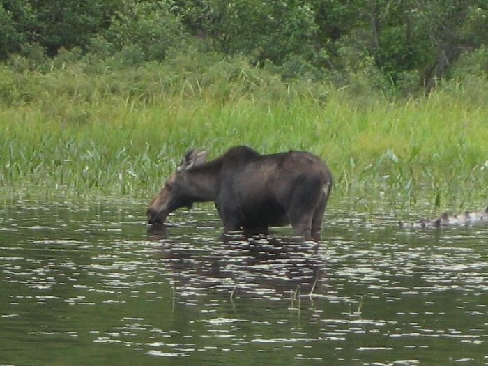 Person Asks Others "What Is The Most 'Why The Hell Do You Know That' Fact," Receives 30 Random Answers