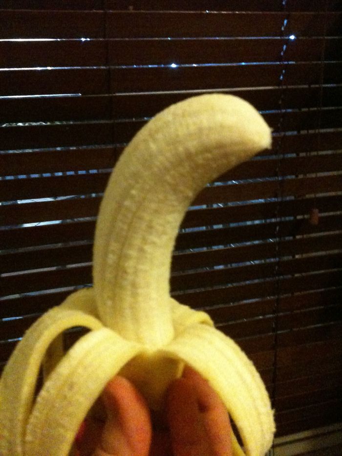 Person Asks Others "What Is The Most 'Why The Hell Do You Know That' Fact," Receives 30 Random Answers