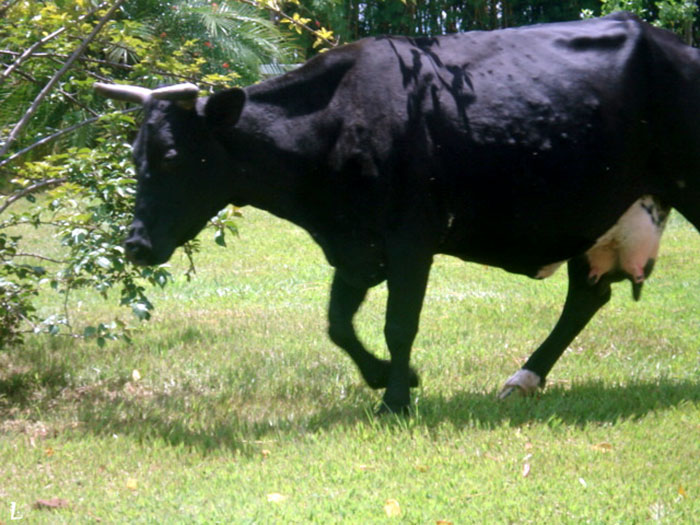 Person Asks Others "What Is The Most 'Why The Hell Do You Know That' Fact," Receives 30 Random Answers