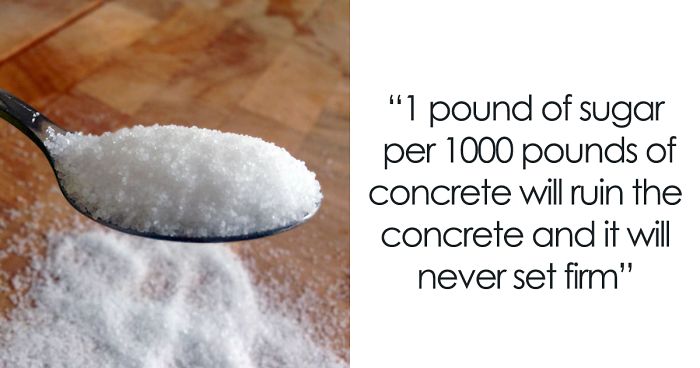 Person Asks Others “What Is The Most ‘Why The Hell Do You Know That’ Fact,” Receives 30 Random Answers