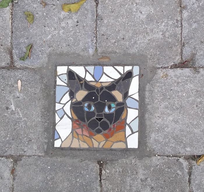 Cats-Mosaics-Street-Art-Schaerbeek-Brussels-Belgium