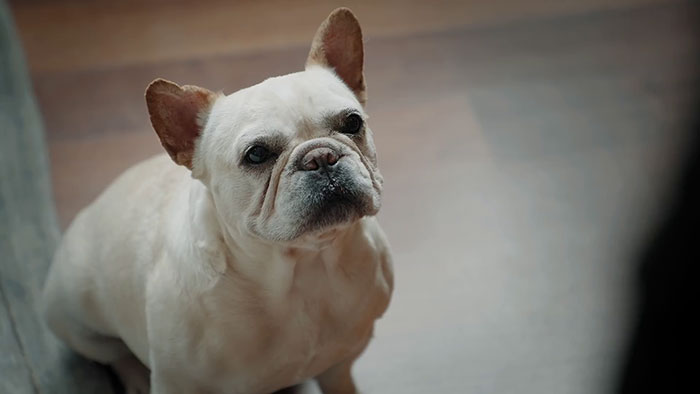 New Hugh Jackman Coffee Ad Goes Viral Because It's Hilariously Narrated By His 'Frenemy' Ryan Reynolds New Hugh Jackman Coffee Ad Goes Viral Because It's Hilariously Narrated By His 'Frenemy' Ryan Reynolds