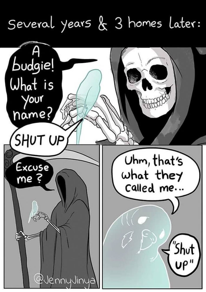 Artist Who Made People Cry With Her Animal Comics Is Back With Another Tearjerker, And It Might Be Her Saddest One Yet Artist Who Made People Cry With Her Animal Comics Is Back With Another Tearjerker, And It Might Be Her Saddest One Yet