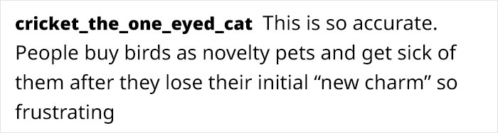Artist Who Made People Cry With Her Animal Comics Is Back With Another Tearjerker, And It Might Be Her Saddest One Yet Artist Who Made People Cry With Her Animal Comics Is Back With Another Tearjerker, And It Might Be Her Saddest One Yet