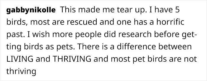 Artist Who Made People Cry With Her Animal Comics Is Back With Another Tearjerker, And It Might Be Her Saddest One Yet Artist Who Made People Cry With Her Animal Comics Is Back With Another Tearjerker, And It Might Be Her Saddest One Yet