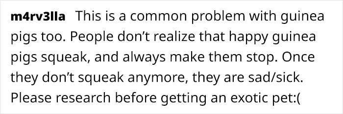 Artist Who Made People Cry With Her Animal Comics Is Back With Another Tearjerker, And It Might Be Her Saddest One Yet Artist Who Made People Cry With Her Animal Comics Is Back With Another Tearjerker, And It Might Be Her Saddest One Yet