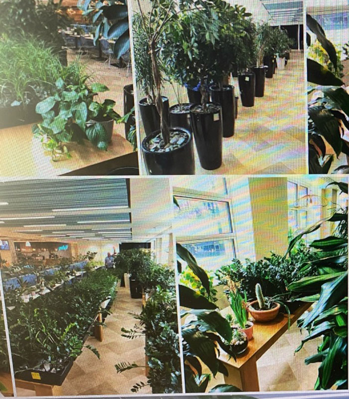 Security Team Makes A Wholesome Move During Lockdown Winning The Hearts Of Many In This Office Complex