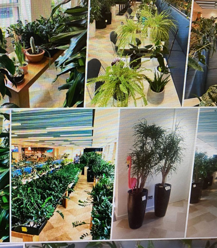 Security Team Makes A Wholesome Move During Lockdown Winning The Hearts Of Many In This Office Complex