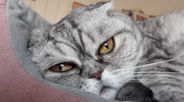 Bonya, 15 Years Old. My Retired Child...