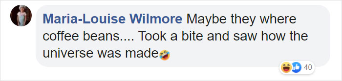 Video Of A Squirrel Who Encounters An Error While Eating Nuts Is Going Viral For How Well It Sums Up The 2020 Mood Video Of A Squirrel Who Encounters An Error While Eating Nuts Is Going Viral For How Well It Sums Up The 2020 Mood