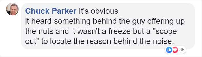 Video Of A Squirrel Who Encounters An Error While Eating Nuts Is Going Viral For How Well It Sums Up The 2020 Mood Video Of A Squirrel Who Encounters An Error While Eating Nuts Is Going Viral For How Well It Sums Up The 2020 Mood