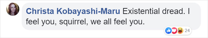 Video Of A Squirrel Who Encounters An Error While Eating Nuts Is Going Viral For How Well It Sums Up The 2020 Mood Video Of A Squirrel Who Encounters An Error While Eating Nuts Is Going Viral For How Well It Sums Up The 2020 Mood