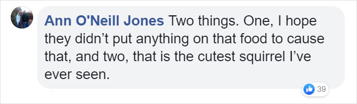 Video Of A Squirrel Who Encounters An Error While Eating Nuts Is Going Viral For How Well It Sums Up The 2020 Mood Video Of A Squirrel Who Encounters An Error While Eating Nuts Is Going Viral For How Well It Sums Up The 2020 Mood