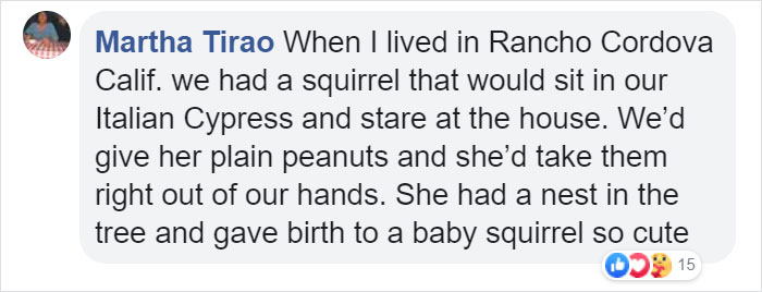 Video Of A Squirrel Who Encounters An Error While Eating Nuts Is Going Viral For How Well It Sums Up The 2020 Mood Video Of A Squirrel Who Encounters An Error While Eating Nuts Is Going Viral For How Well It Sums Up The 2020 Mood