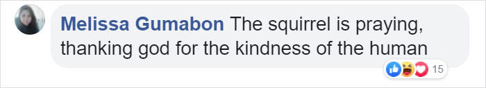 Video Of A Squirrel Who Encounters An Error While Eating Nuts Is Going Viral For How Well It Sums Up The 2020 Mood Video Of A Squirrel Who Encounters An Error While Eating Nuts Is Going Viral For How Well It Sums Up The 2020 Mood