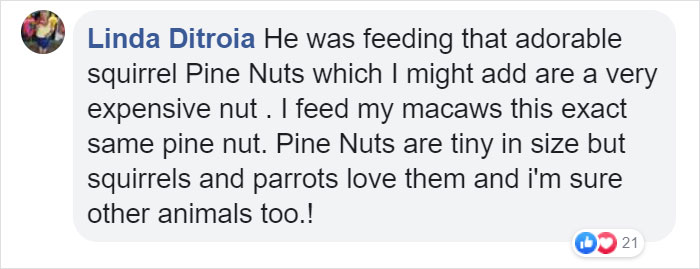 Video Of A Squirrel Who Encounters An Error While Eating Nuts Is Going Viral For How Well It Sums Up The 2020 Mood Video Of A Squirrel Who Encounters An Error While Eating Nuts Is Going Viral For How Well It Sums Up The 2020 Mood