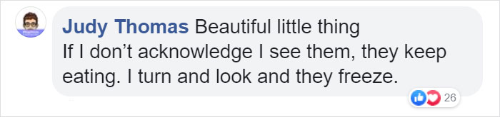 Video Of A Squirrel Who Encounters An Error While Eating Nuts Is Going Viral For How Well It Sums Up The 2020 Mood Video Of A Squirrel Who Encounters An Error While Eating Nuts Is Going Viral For How Well It Sums Up The 2020 Mood