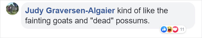 Video Of A Squirrel Who Encounters An Error While Eating Nuts Is Going Viral For How Well It Sums Up The 2020 Mood Video Of A Squirrel Who Encounters An Error While Eating Nuts Is Going Viral For How Well It Sums Up The 2020 Mood