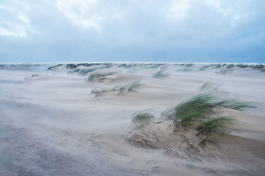 I’ve Been Photographing Storms During Dutch Tides For 7 Years, Here Are My 28 Pics To Capture Their Effect On Local Wildlife I’ve Been Photographing Storms During Dutch Tides For 7 Years, Here Are My 28 Pics To Capture Their Effect On Local Wildlife