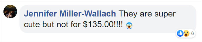 These 13-Inch Succulent Christmas Trees Are Ideal For Celebrating In A Small Space These 13-Inch Succulent Christmas Trees Are Ideal For Celebrating In A Small Space