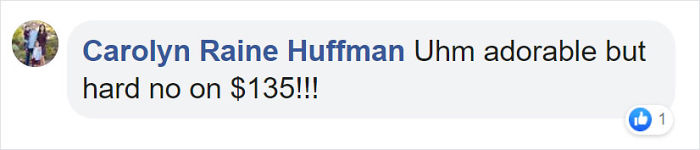 These 13-Inch Succulent Christmas Trees Are Ideal For Celebrating In A Small Space