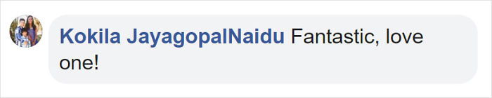 These 13-Inch Succulent Christmas Trees Are Ideal For Celebrating In A Small Space These 13-Inch Succulent Christmas Trees Are Ideal For Celebrating In A Small Space